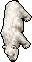 Lovely Polar Bear
